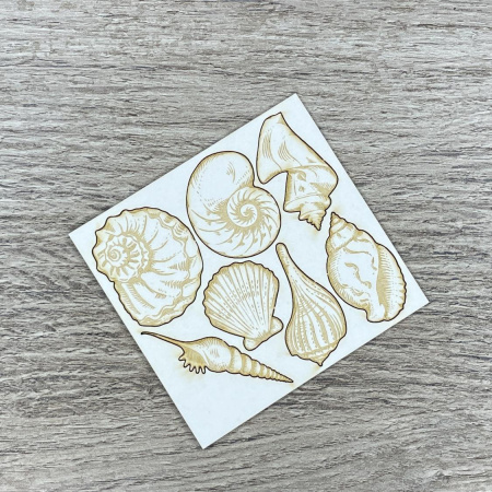 Чипборд "Набор ракушек с гравировкой" толщина 1,55 мм