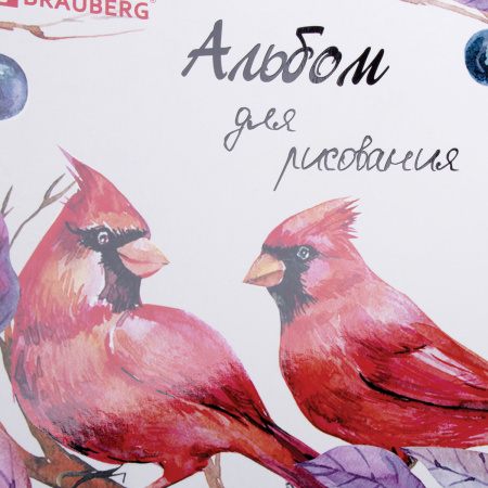 Альбом для рисования, А4, 40 л., гребень, выборочный лак, подложка, внутренний блок 120 г/м2, BRAUBERG, 205х290 мм, "Птицы" (2 вида), 105103 - Альбомы и папки для рисования