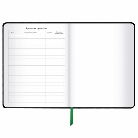 Дневник 1-11 класс 48 л., кожзам (твердая с поролоном), флуоресцентный, BRAUBERG, "Avocado", 106200 - Дневники универсальные