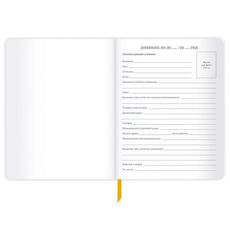 Дневник 1-11 класс 48 л., кожзам (гибкая), печать, фольга, BRAUBERG, "Mountains", 106223 - Дневники универсальные