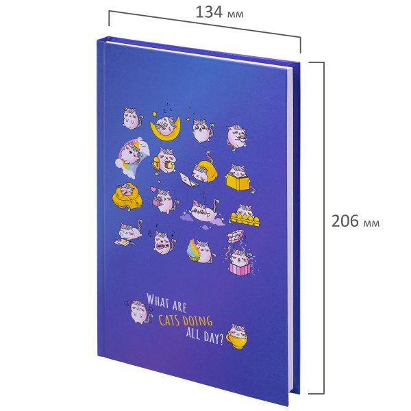 Блокнот А5 (134х206 мм), 80 л., твёрдый, клетка, BRAUBERG KIDS, "Радужные котики", 114417 - Блокноты детские