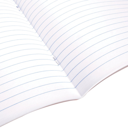 Тетрадь А5 48 л. BRAUBERG скоба, линия, обложка картон, "Питомцы" (микс в спайке), 404386 - Тетради 40-48 листов