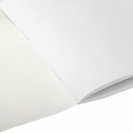 Альбом для рисования А4 40 л., скоба, обложка картон, BRAUBERG, 203х288 мм, "Аниме", 1 шт, 106703 - Альбомы и папки для рисования