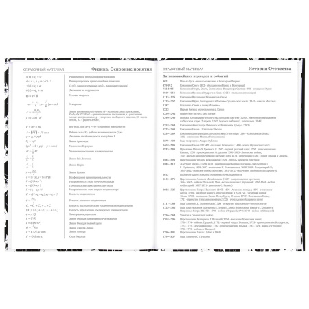 Дневник МП 1-11 класс 48 л., твердый, BRAUBERG, глянцевая ламинация, с подсказом, "Аниме", 106646 - Дневники универсальные