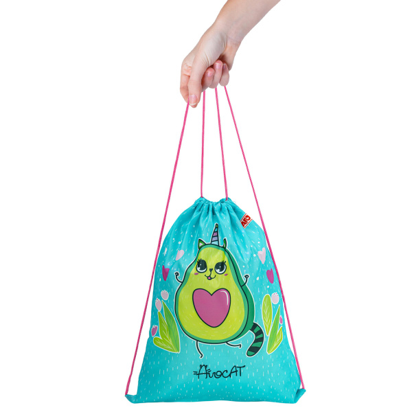 Мешок для обуви ПИФАГОР, 1 отделение, 40х32 см, "Avocat", 271597 - Мешки для обуви