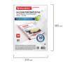 Папки-файлы перфорированные А4 BRAUBERG "ECONOMY", КОМПЛЕКТ 100 шт., гладкие, 30 мкм, 229659 - Папки перфорированные