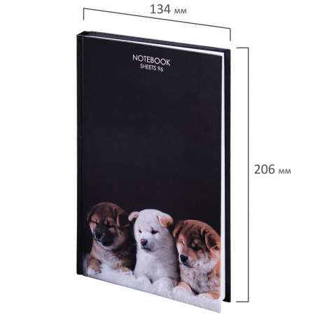 Блокнот А5 (134х206 мм), 96 л., твёрдый, клетка, STAFF, "Собачки", 114433 - Блокноты в книжном переплете