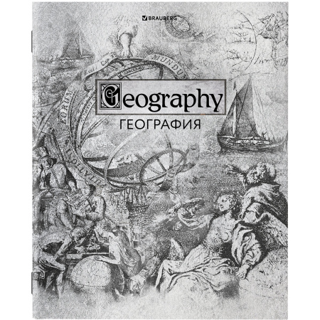 Тетради предметные, КОМПЛЕКТ 12 ПРЕДМЕТОВ, "SILVER", 48 листов, с серебряной обложкой, BRAUBERG, 404034 - Тетради предметные