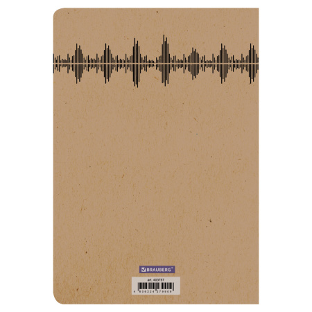 Тетрадь 40 л. в клетку обложка КРАФТ, бежевая бумага 70 г/м2, сшивка, А5 (147х210 мм), СКЕЙТЕР, BRAUBERG, 403757 - Тетради 40-48 листов
