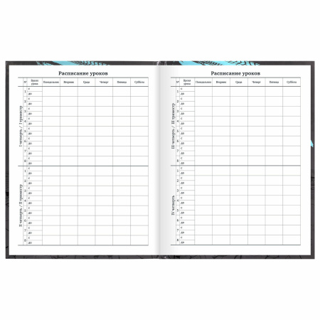 Дневник 1-11 класс 40 л., твердый, BRAUBERG, глянцевая ламинация, "Байк", 106614 - Дневники универсальные