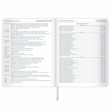 Дневник 1-11 класс 48 л., кожзам (гибкая), печать, фольга, BRAUBERG, "Insight", 106176 - Дневники универсальные