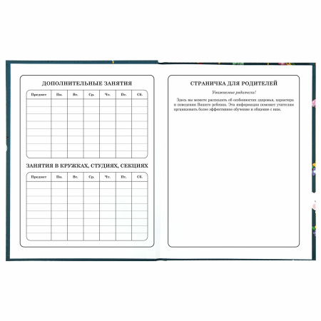 Дневник 1-4 класс 48 л., твердый, ЮНЛАНДИЯ, глянцевая ламинация, с подсказом, "Kittycorn", 106346 - Дневники для младших классов