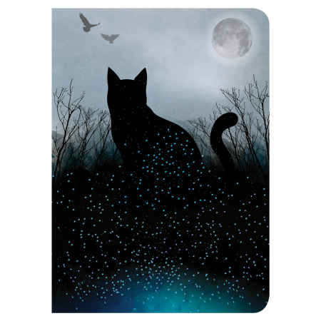 Тетради 60 л. в клетку обложка SoftTouch, НАБОР 2 шт., бежевая бумага 70 г/м2, сшивка, B5 (179х250 мм), COSMOS, BRAUBERG, 403821 - Тетради более 60 листов