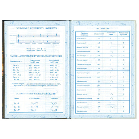 Дневник для музыкальной школы 140х210 мм, 48 л., твердый, BRAUBERG, справочный материал, "Концерт", 103279 - Дневники для музыкальной школы