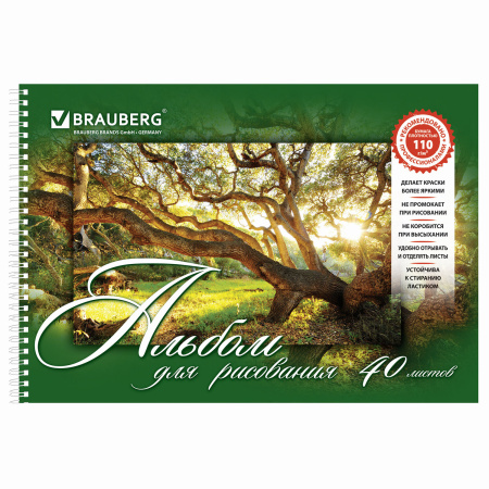 Альбомы для рисования А4 40 л., КОМПЛЕКТ 2 шт., гребень, обложка картон, BRAUBERG, 205х290 мм, "Природа" (2 вида), 880031 - Альбомы и папки для рисования