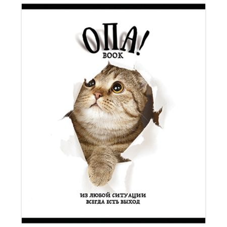 Тетрадь А5, 48 л., ПЗБМ, скоба, клетка, выборочный TWIN лак, "ОПА!" (5 видов), 028664 - Тетради 40-48 листов