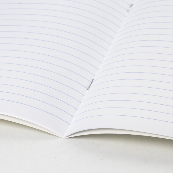 Тетрадь ЗЕЛЁНАЯ обложка, 12 л., линия с полями, офсет, ПЗБМ, 19988 - Тетради 12-24 листов