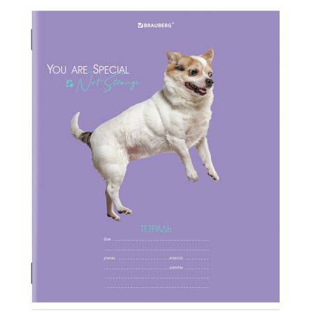 Тетрадь 18 л. BRAUBERG линия, обложка картон, "СОБАЧКИ", 106481 - Тетради 12-24 листов