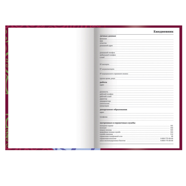 Ежедневник учителя специализированный А5 (215х145 мм), твердая обложка, 144 л., BRAUBERG, "ГЛОБУС", 129233 - Ежедневники с твердой обложкой