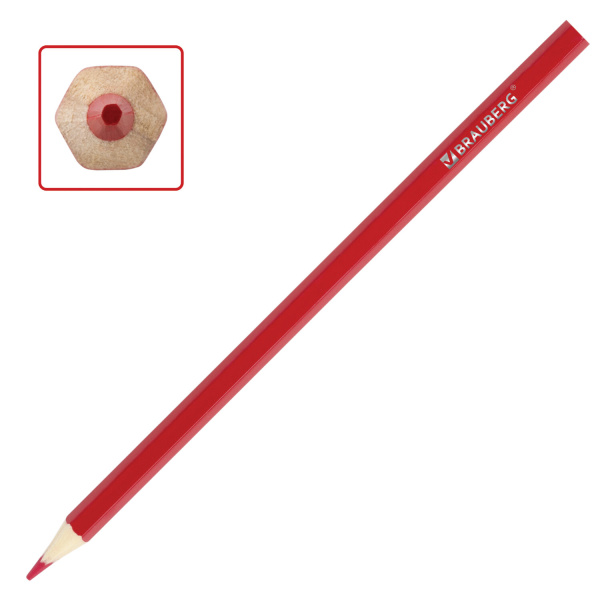 Карандаши цветные BRAUBERG "My lovely dogs", 12 цветов, заточенные, картонная упаковка, 180531 - Карандаши цветные