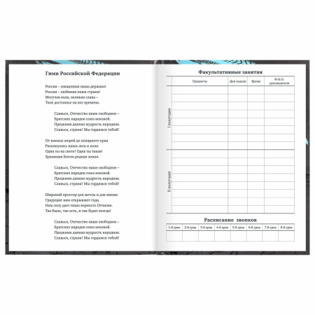 Дневник 1-11 класс 40 л., твердый, BRAUBERG, глянцевая ламинация, "Байк", 106614 - Дневники универсальные