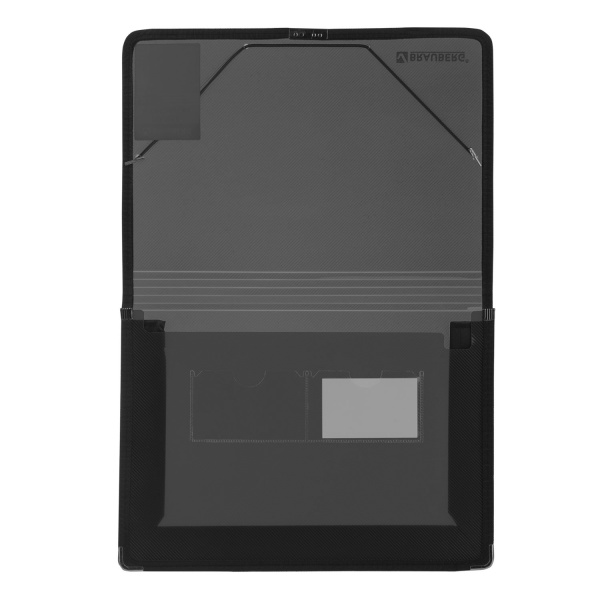 Папка на резинках BRAUBERG, широкая, А4, 330х240 мм, дымчатая, до 500 листов, 0,6 мм, 227979 - Папки на резинках пластиковые