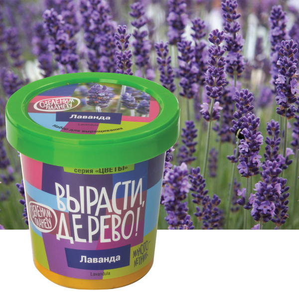 Набор для выращивания растений ВЫРАСТИ ДЕРЕВО! "Лаванда" (банка, грунт, семена), zk-030 - Наборы для выращивания растений