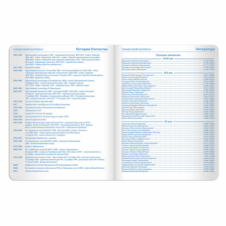 Дневник 1-11 класс 48 л., кожзам (твердая с поролоном), тиснение аппликация, BRAUBERG, "СЛАДОСТИ", 105487 - Дневники универсальные