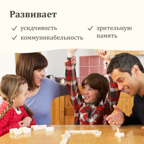 Игра настольная "ДОМИНО", пластиковый кейс, 17х10 см, ЗОЛОТАЯ СКАЗКА, 662296 - Настольные игры