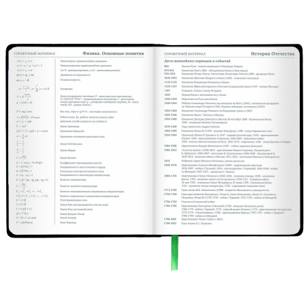 Дневник 1-11 класс 48 л., кожзам (твердая с поролоном), флуоресцентный, BRAUBERG, "Коала", 106199 - Дневники универсальные