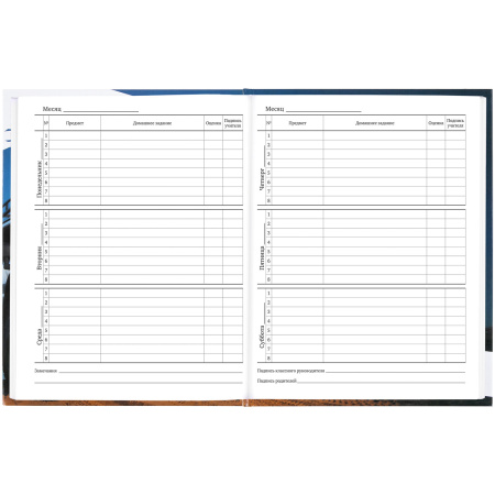 Дневник 1-11 класс 40 л., твердый, BRAUBERG, глянцевая ламинация, "Джип", 106616 - Дневники универсальные