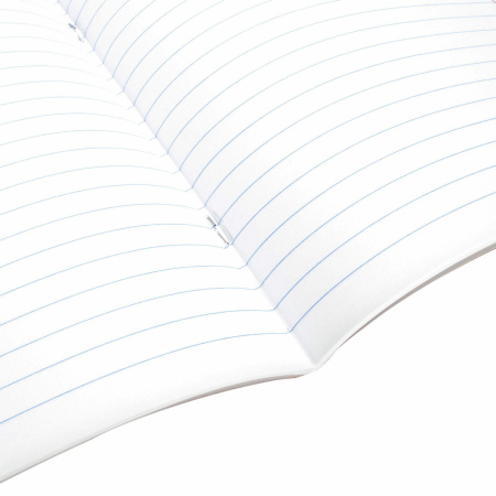 Тетрадь предметная "СИЯНИЕ ЗНАНИЙ" 48 л., глянцевый УФ-лак, РУССКИЙ ЯЗЫК, линия, BRAUBERG, 404529 - Тетради предметные