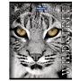 Тетрадь А5, 48 л., BRAUBERG скоба, клетка, обложка картон, ДИКИЕ И СВОБОДНЫЕ, 1 шт, 401810 - Тетради 40-48 листов