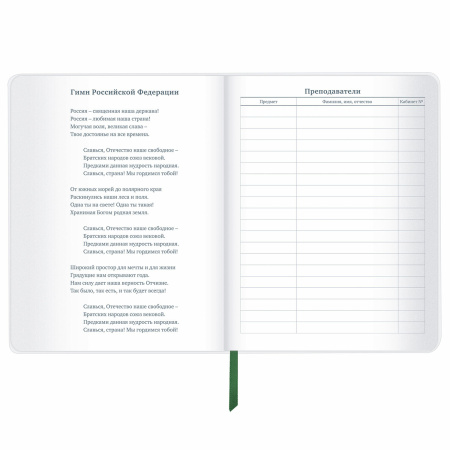 Дневник 1-11 класс 48 л., кожзам (гибкая), термотиснение, фольга, BRAUBERG, "Football", 106170 - Дневники универсальные