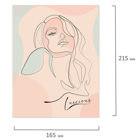Тетрадь на кольцах А5 (165х215 мм), 120 листов, твердый картон, клетка, BRAUBERG, Девушка, 404076 - Тетради на кольцах и сменные блоки к ним
