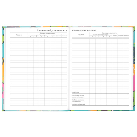 Дневник 5-11 класс 48 л., твердый, BRAUBERG, блестки, с подсказом, "Avocado", 106419 - Дневники для старших классов