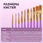 Кисти синтетика BRAUBERG, НАБОР 10 шт., фиолетовые (Круглые; Овальные; Плоские; Лайнеры), 201029 - Кисти для рисования