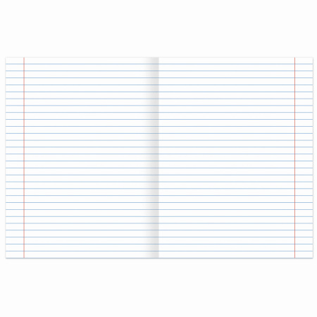 Тетради предметные, КОМПЛЕКТ 10 ПРЕДМЕТОВ, "КЛАССИКА XXI", 48 л., обложка картон, BRAUBERG, 404025 - Тетради предметные