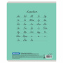 Тетрадь 12 л. BRAUBERG КЛАССИКА NEW частая косая линия с дополнительной горизонтальной, обложка картон, ЗЕЛЕНАЯ, 105693 - Тетради 12-24 листов