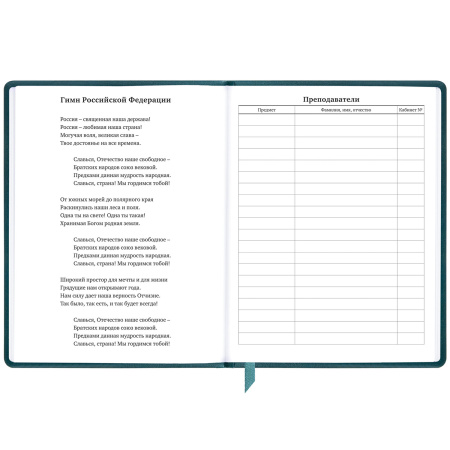 Дневник 1-11 класс 48 л., кожзам (твердая), печать, резинка, конверт, BRAUBERG, "Bright Lion", 106577 - Дневники универсальные