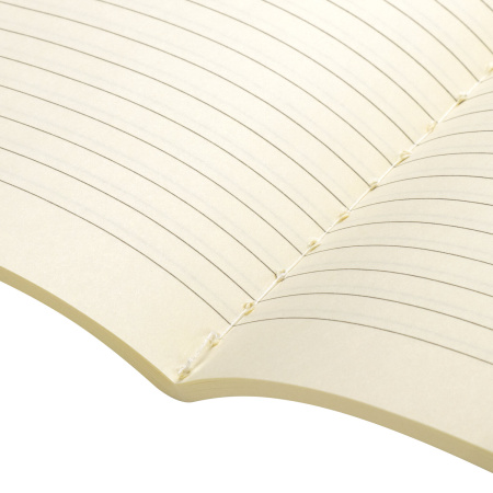 Тетради 60 л. в линию обложка SoftTouch, НАБОР 2 шт., бежевая бумага 70 г/м2, сшивка, B5 (179х250 мм), ВПЕЧАТЛЕНИЕ, BRAUBERG, 403825 - Тетради более 60 листов