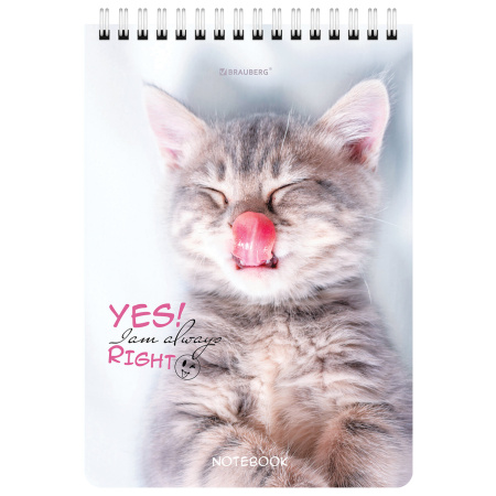 Блокнот А5 (146х206 мм), 80 л., гребень, картон, клетка, BRAUBERG, "Довольные коты", 114374 - Блокноты