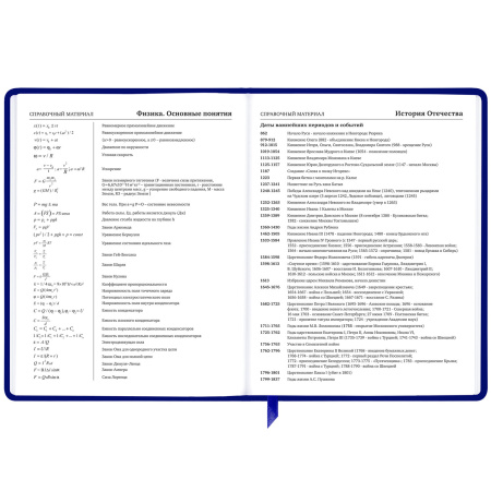 Дневник 1-11 класс 48 л., кожзам (твердая с поролоном), фольга, BRAUBERG HOLIDAY, "Good Idea", 106567 - Дневники универсальные