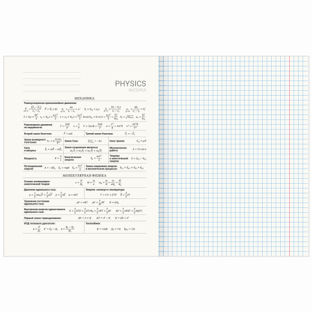 Тетрадь предметная со справочным материалом VISION 48 л., обложка картон, ФИЗИКА, клетка, BRAUBERG, 404259 - Тетради предметные