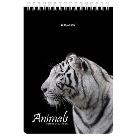 Блокнот А5 (146х206 мм), 80 л., гребень, картон, жесткая подложка, клетка, BRAUBERG, "Хищники", 114385 - Блокноты