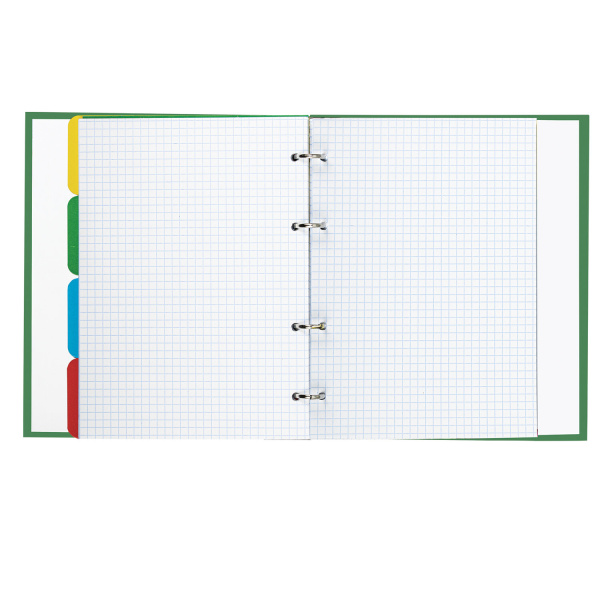 Тетрадь на кольцах А5 (175х215 мм), 240 листов, твердый картон, клетка, с разделителями, BRAUBERG, Авокадо, 404098 - Тетради на кольцах и сменные блоки к ним