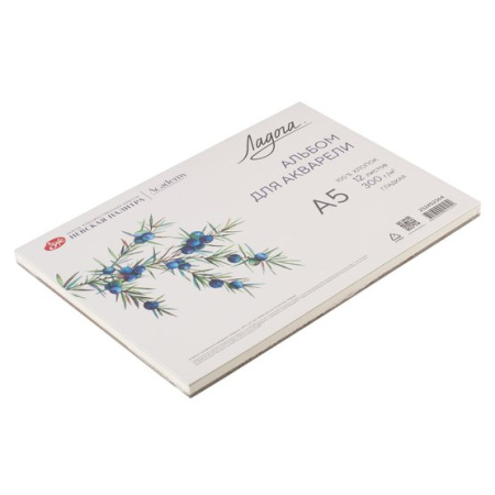 Альбом-склейка для акварели "Ладога", 300 г/м2, А5, 100% хлопок, 12 листов, гладкая - Альбомы и бумага для акварели и масла