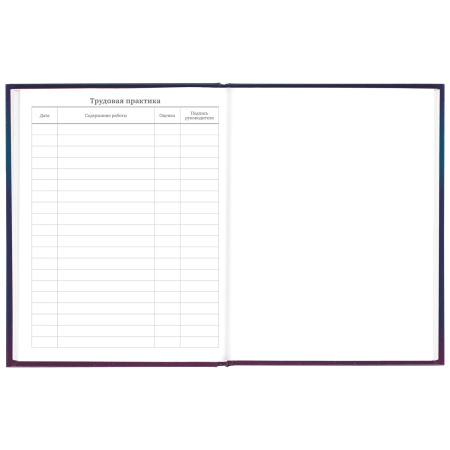 Дневник 5-11 класс 48 л., твердый, BRAUBERG, глянцевая ламинация, с подсказом, "Spaceman", 106407 - Дневники для старших классов