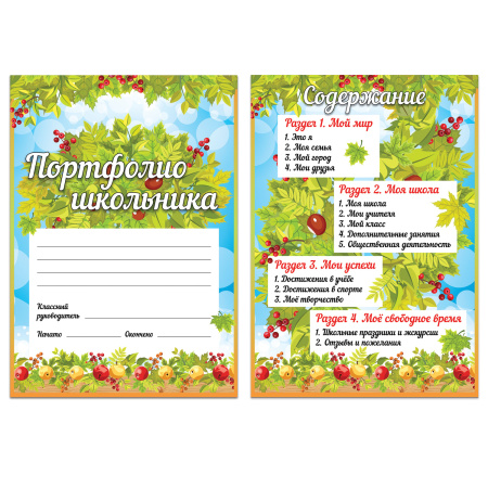 Листы-вкладыши для портфолио школьника, 14 разделов, 16 листов, "Окружающий мир", BRAUBERG, 126896 - Портфолио