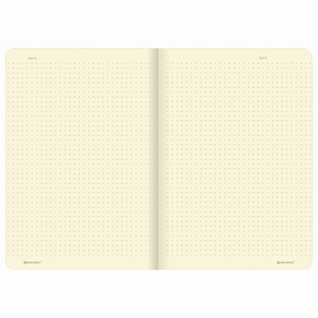 Тетрадь 48 л. в точку обложка кожзам SoftTouch, сшивка, A5 (147х210мм), ГОЛУБОЙ, BRAUBERG RAINBOW, 403883 - Тетради 40-48 листов